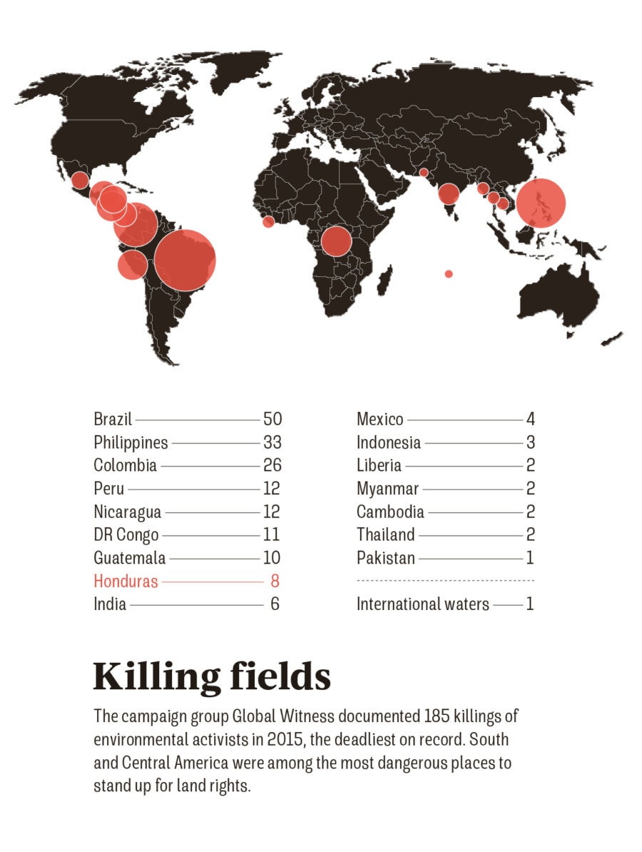 killings of environmental activists 2015