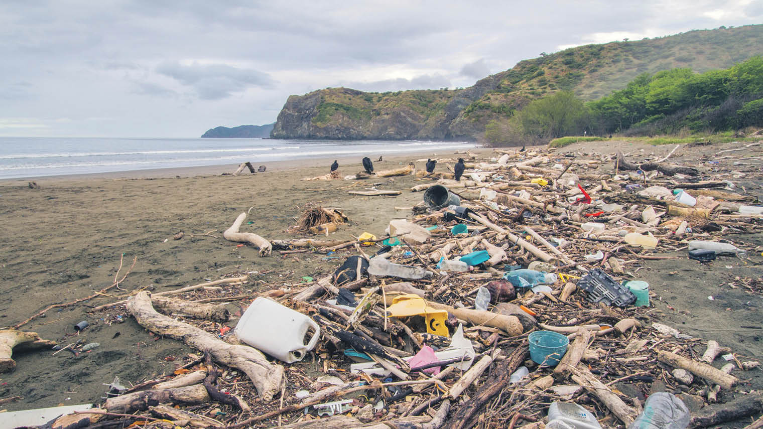 Plastic and driftwood on a beach in Costa Rica