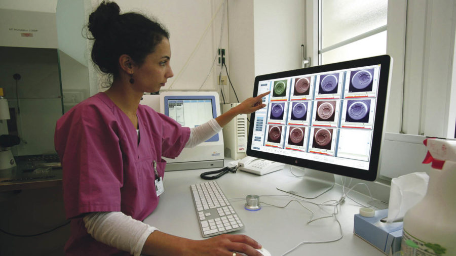 Analysis of embryo development following intracytoplasmic sperm injection at the IVF Centre, University Women's Hospital Bonn, Germany