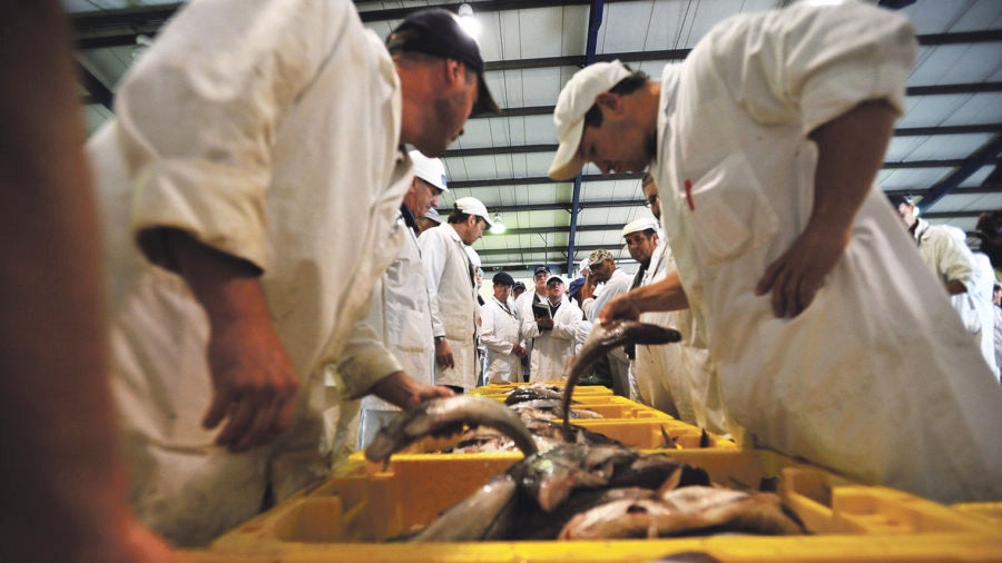 fish traders at grimsby's fish auction house food