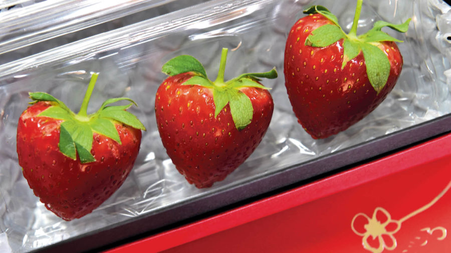 innovative-packaging-design-globally