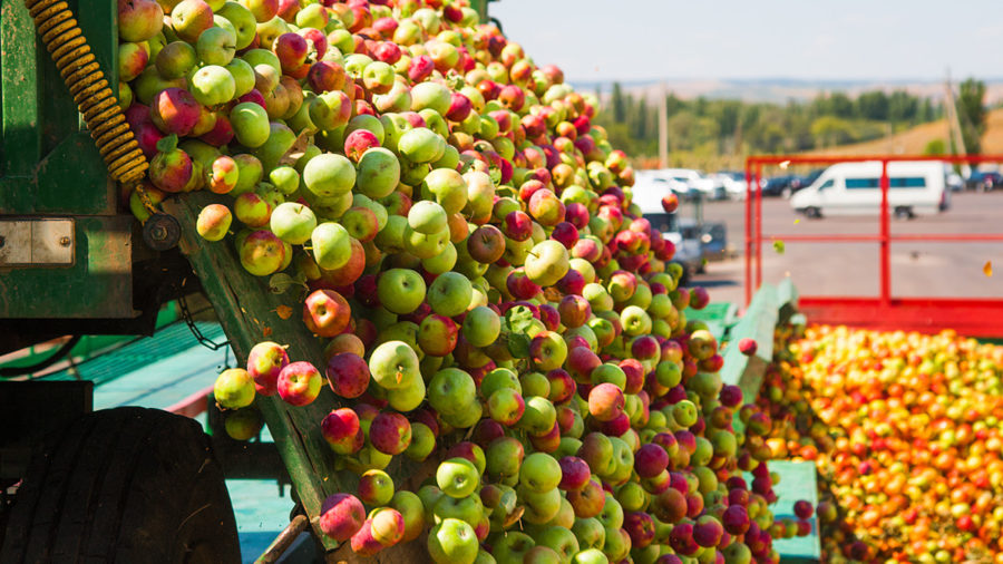 carbon-footprint-food-labels
