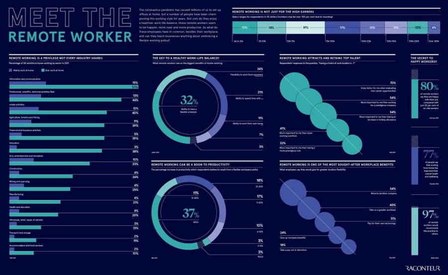 meet-the-remote-worker