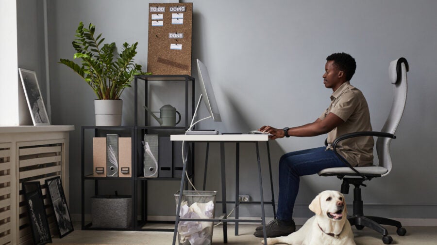 Young Man With Dog In Office