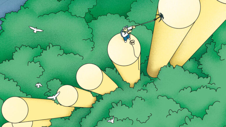 B Corp journey illustration