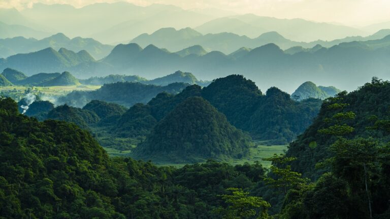 Cat Ba National Park On Cat Ba Island, Vietnam