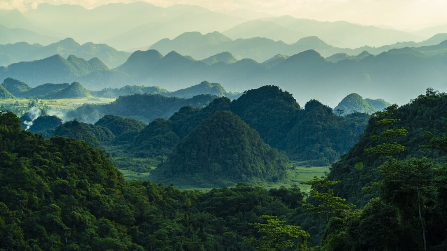 Cat Ba National Park On Cat Ba Island, Vietnam